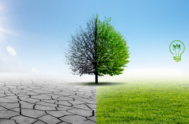 Sustentabilidade6